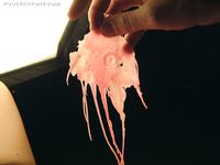 FootFactory - Pictures - 1141720907