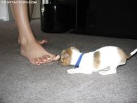 FootFactory - Pictures - 1154418298