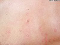 Russian-Mistress - Picture - 135