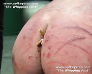 tumblr_mao0ezTI7l1r8u5vwo1_1280