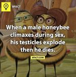 tumblr_oib6jwKo6A1thp4d1o1_1280