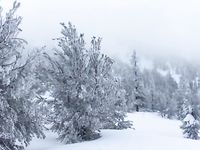 tumblr_okvnbrXY9L1u2d5pn_smart1