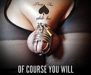 tumblr_p2l052ty891u2d5pno1_1280