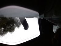 Just me and my big dumb dick