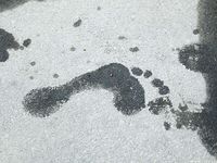 Feet - Albina - 2016-03-26 Barefoot office girl