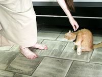 Feet - Alexandra - 2010-08-08 Hot asphalt and bare feet