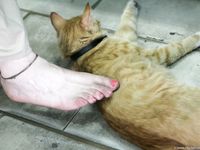 Feet - Alexandra - 2010-08-08 Hot asphalt and bare feet