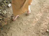 Feet - Alexandra - 2010-08-08 Hot asphalt and bare feet