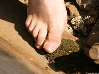 Feet - Alexandra - 2010-08-08 Hot asphalt and bare feet