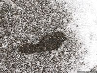 Feet - Alexandra A - 2011-03-27 Barefoot fun