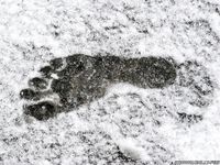 Feet - Alexandra A - 2011-03-27 Barefoot fun