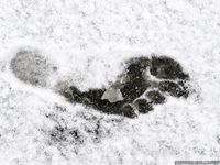 Feet - Alexandra A - 2011-03-27 Barefoot fun