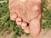 Feet - Alexandra C - 2012-03-05 Hot summer feet