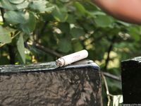 Feet - Alexandra C - 2012-03-05 Hot summer feet