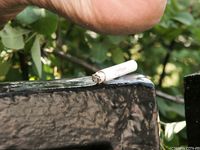 Feet - Alexandra C - 2012-03-05 Hot summer feet