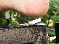 Feet - Alexandra C - 2012-03-05 Hot summer feet