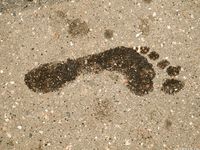 Feet - Alexandra E - 2013-09-20 Office girl