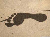 Feet - Alina - 2015-01-08 Barefoot in a winter park