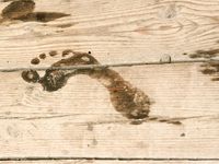 Feet - Alisa A - 2013-01-03 Hot beauty in T-shirt and shorts