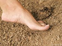 Feet - Alla - 2006-07-15 Bare feet and the City