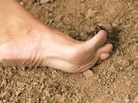 Feet - Alla - 2006-07-15 Bare feet and the City