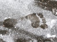 Feet - Alyona A - 2012-06-21 Cheerful barefoot girl