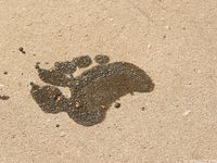 Feet - Alyona B - 2012-08-07 The first barefoot experience