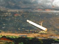 Feet - Anna A - 2011-01-02 Public barefoot walk