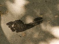 Feet - Anna G - 2012-11-11 Barefoot girl in a short skirt