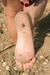 Feet - Anna G - 2012-11-11 Barefoot girl in a short skirt