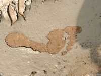 Feet - Anna G - 2012-11-11 Barefoot girl in a short skirt