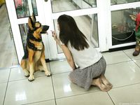 Feet - Anna G - 2012-11-11 Barefoot girl in a short skirt