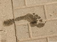 Feet - Anna H - 2013-04-12 Barefoot in a city streets