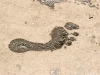 Feet - Anna H - 2013-04-12 Barefoot in a city streets