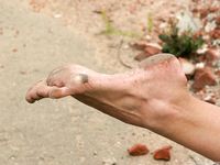 Feet - Anna H - 2013-04-12 Barefoot in a city streets