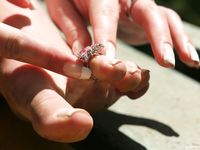 Feet - Anya - 2007-04-21 Tender bare feet