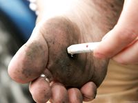 Feet - Anya - 2011-03-11 Anya's barefoot walk