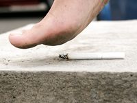 Feet - Anya - 2011-03-11 Anya's barefoot walk