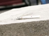 Feet - Anya - 2011-03-11 Anya's barefoot walk