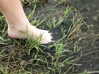 Feet - Asya - 2006-04-09 Romantic barefoot walk with a boyfriend