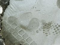 Feet - Daria - 2010-08-20 Evening barefoot stroll