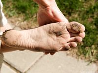 Feet - Daria A - 2011-06-08 Slender beauty with long toes