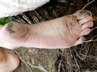 Feet - Daria A - 2011-06-08 Slender beauty with long toes