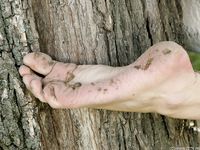 Feet - Daria A - 2011-06-08 Slender beauty with long toes