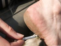 Feet - Daria C - 2012-01-22 Girl in zebra dress