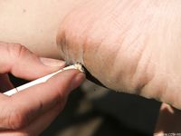 Feet - Daria C - 2012-01-22 Girl in zebra dress