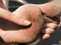 Feet - Daria C - 2012-01-22 Girl in zebra dress