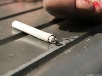 Feet - Daria C - 2012-01-22 Girl in zebra dress