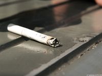 Feet - Daria C - 2012-01-22 Girl in zebra dress