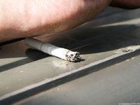 Feet - Daria C - 2012-01-22 Girl in zebra dress